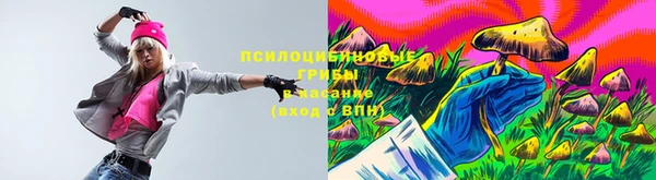 метадон Саяногорск